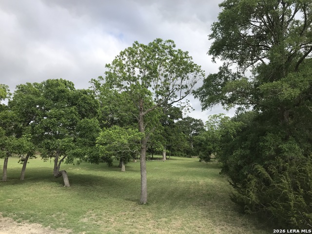 Image 5 of 9 For 25533 Morhiss Point