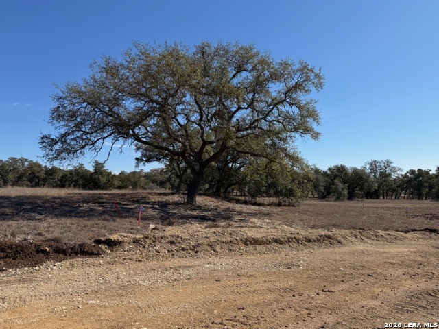 Image 6 of 9 For 25533 Morhiss Point