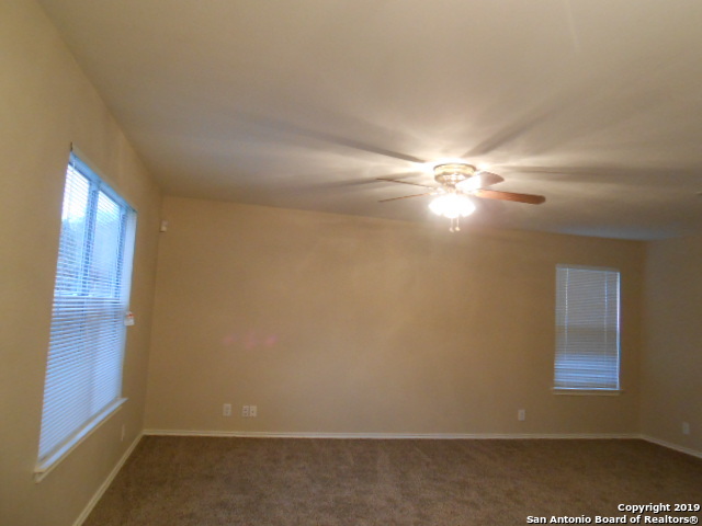 Image 9 of 17 For 8403 Shooting Quail