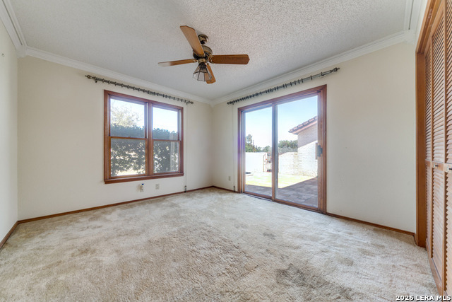 Image 13 of 17 For 3306 Single Peak