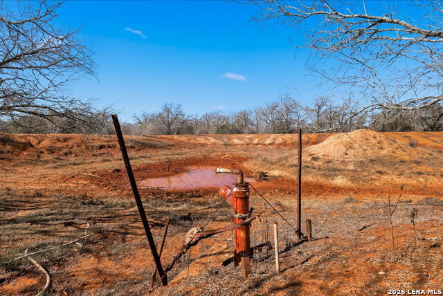 Image 19 of 39 For 1895 County Road 448