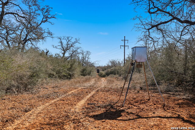 Image 20 of 39 For 1895 County Road 448