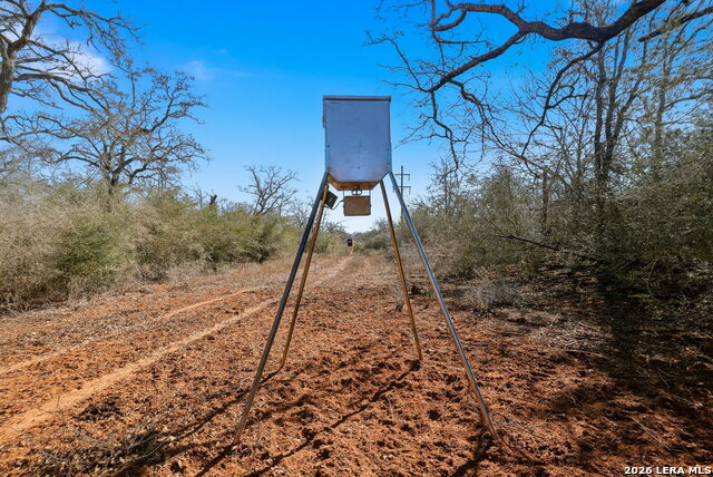 Image 21 of 39 For 1895 County Road 448