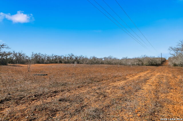 Image 28 of 39 For 1895 County Road 448