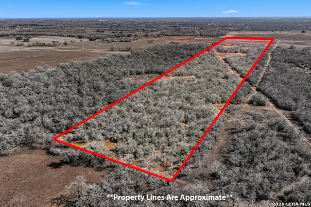 Image 32 of 39 For 1895 County Road 448