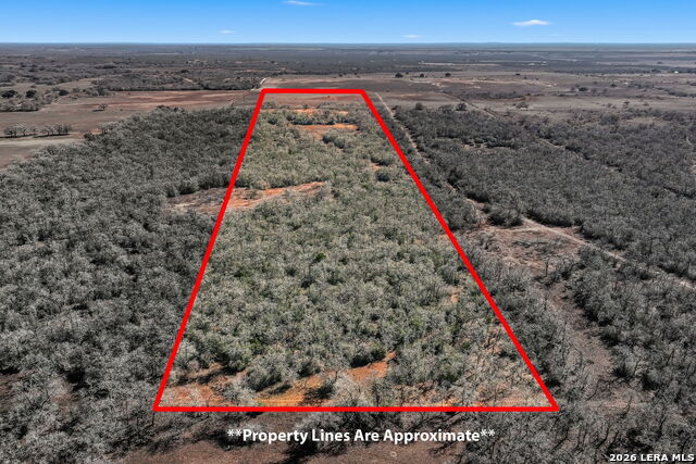 Image 34 of 39 For 1895 County Road 448