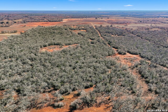 Image 35 of 39 For 1895 County Road 448