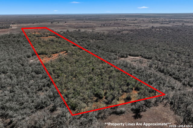 Image 36 of 39 For 1895 County Road 448