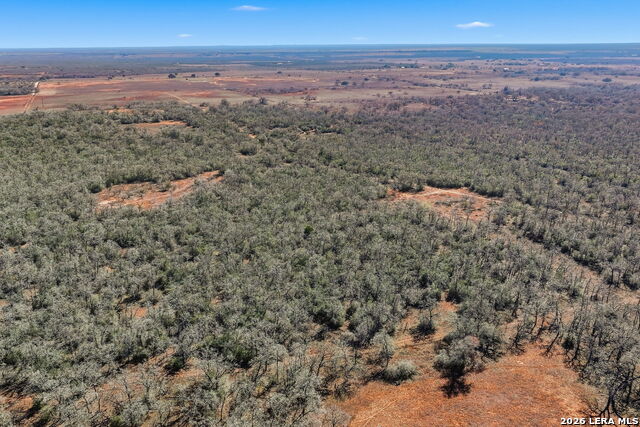 Image 37 of 39 For 1895 County Road 448