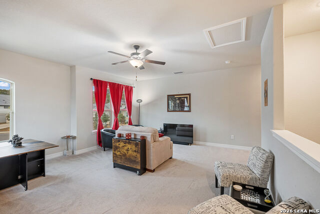 Image 28 of 38 For 7139 Bella Mist