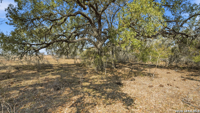 Details for Tbd Hohn Road, Nordheim, TX 78141