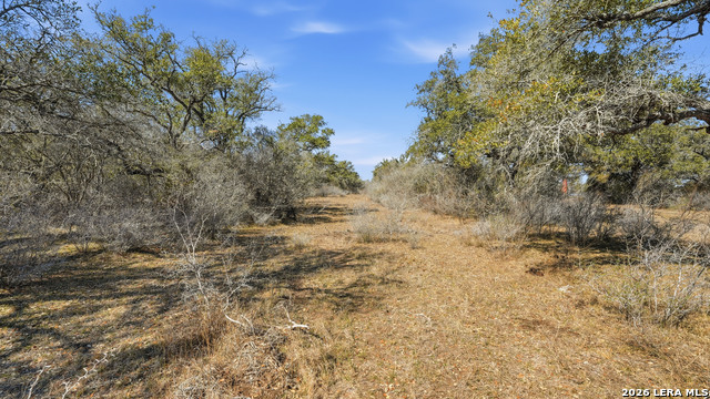 Image 10 of 18 For Tbd Hohn Road