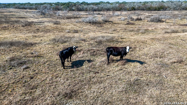 Image 5 of 18 For Tbd Hohn Road