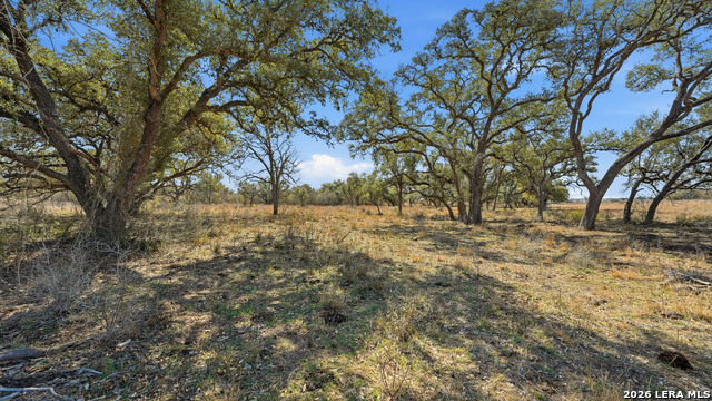 Image 6 of 18 For Tbd Hohn Road