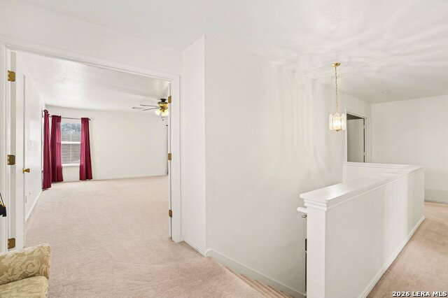 Image 24 of 33 For 133 Springtree Grove