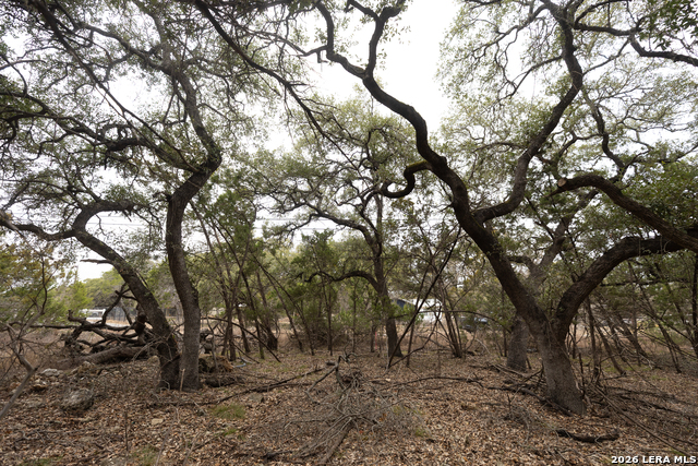 Details for 2480 Cypress Gardens, Spring Branch, TX 78070