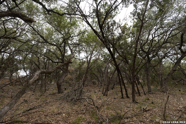 Image 6 of 8 For 2480 Cypress Gardens
