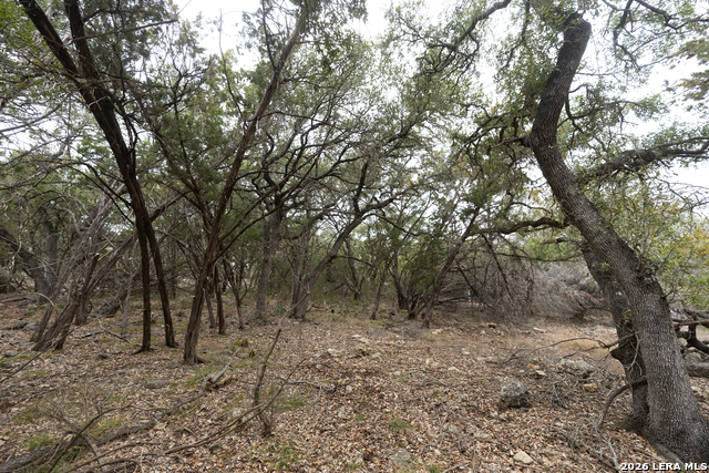 Image 7 of 8 For 2480 Cypress Gardens