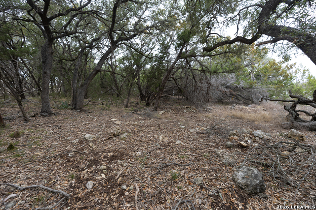 Image 8 of 8 For 2480 Cypress Gardens