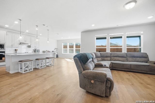 Image 11 of 24 For 4803 Conch Shell