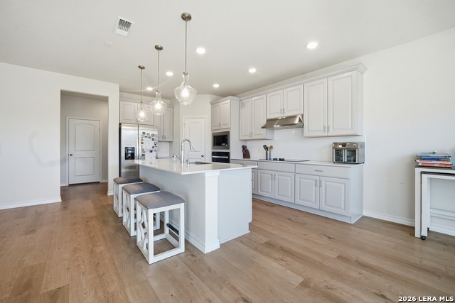 Image 13 of 24 For 4803 Conch Shell