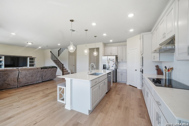 Image 14 of 24 For 4803 Conch Shell