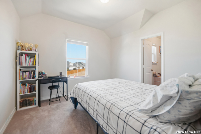 Image 18 of 24 For 4803 Conch Shell