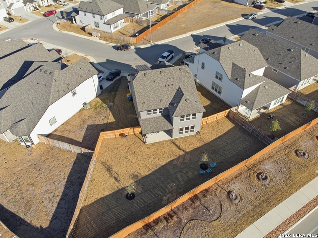 Image 8 of 24 For 4803 Conch Shell