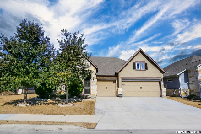 Image 2 of 41 For 12017 Garden Shoot