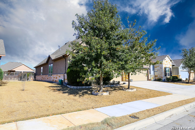 Image 35 of 41 For 12017 Garden Shoot