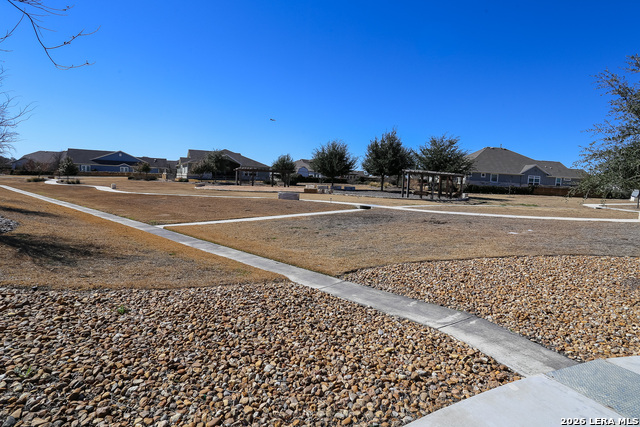 Image 37 of 41 For 12017 Garden Shoot