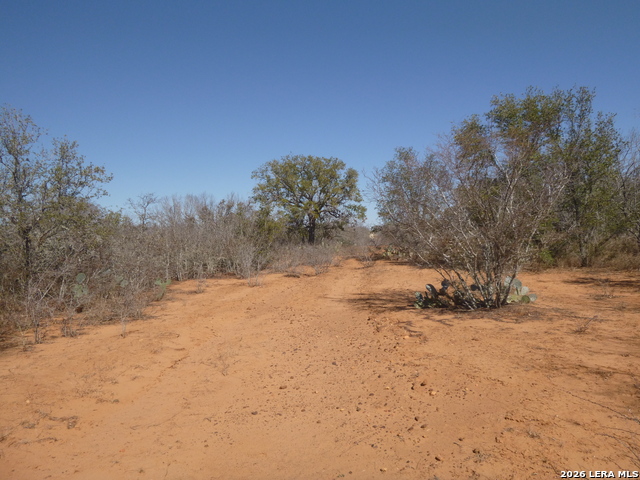 Details for 4253 Fm 462 E, Moore, TX 78057