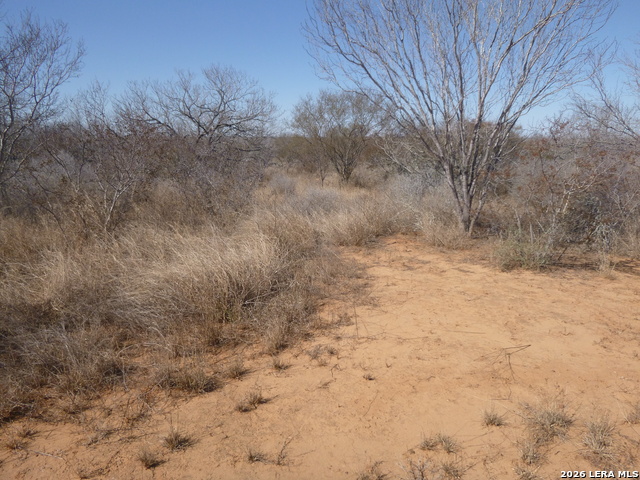 Image 10 of 19 For 4253 Fm 462 E