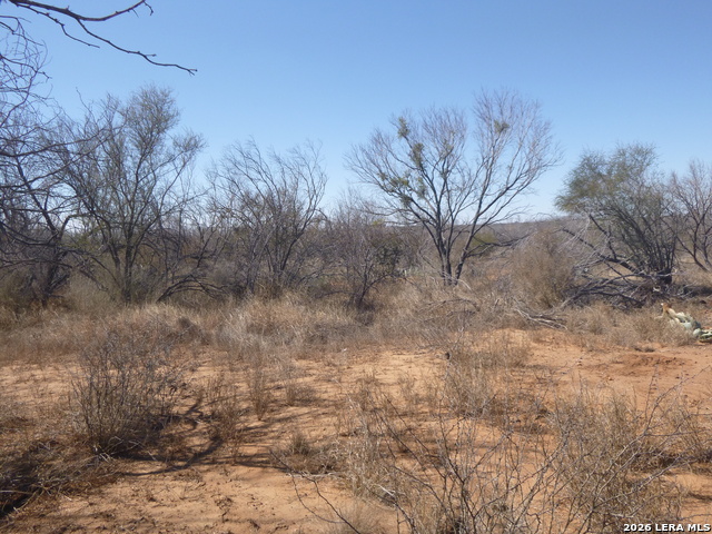 Image 11 of 19 For 4253 Fm 462 E