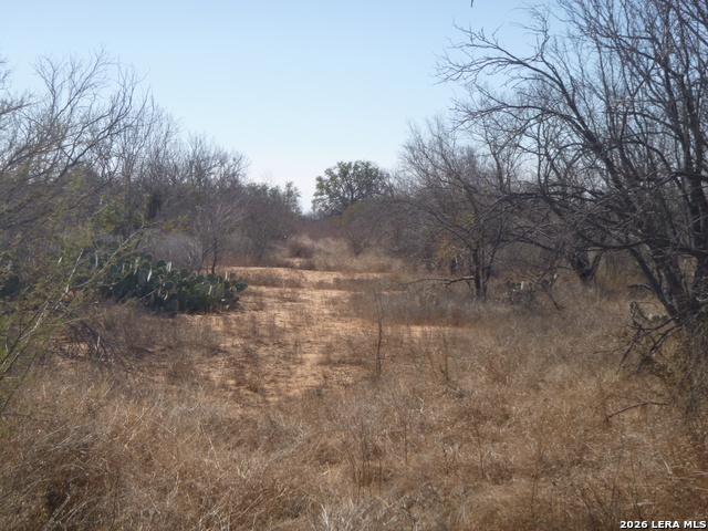 Image 12 of 19 For 4253 Fm 462 E