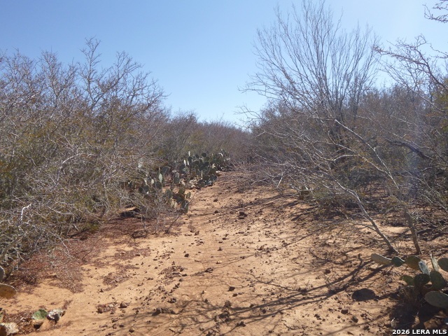 Image 13 of 19 For 4253 Fm 462 E