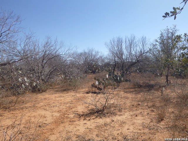 Image 14 of 19 For 4253 Fm 462 E