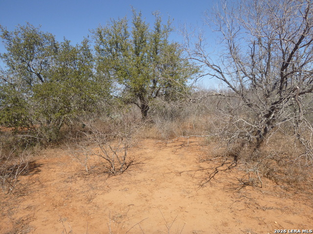 Image 15 of 19 For 4253 Fm 462 E