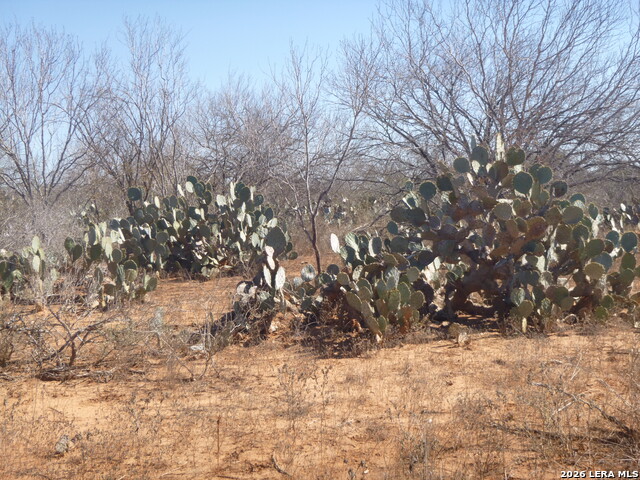 Image 16 of 19 For 4253 Fm 462 E