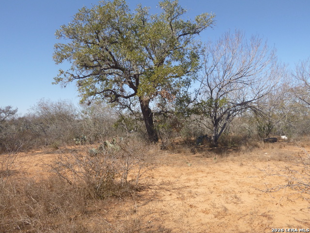 Image 17 of 19 For 4253 Fm 462 E