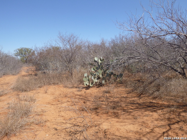 Image 2 of 19 For 4253 Fm 462 E