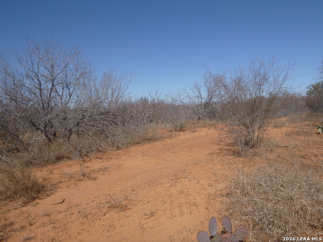 Image 3 of 19 For 4253 Fm 462 E