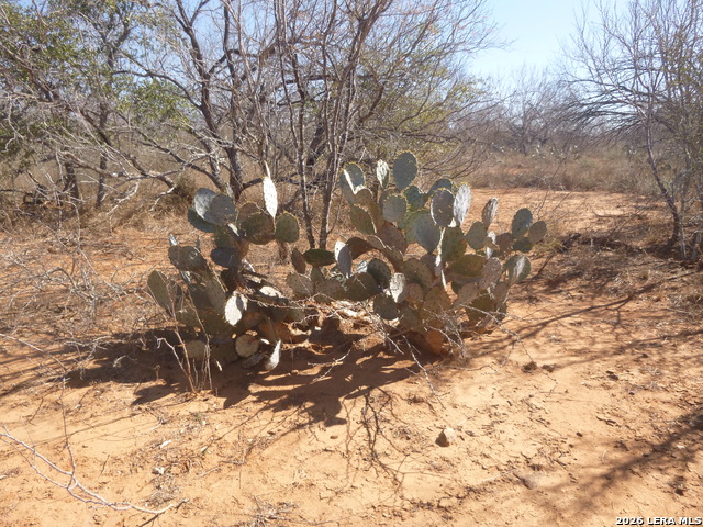 Image 4 of 19 For 4253 Fm 462 E