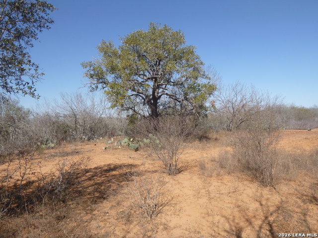 Image 5 of 19 For 4253 Fm 462 E