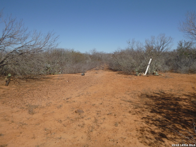 Image 6 of 19 For 4253 Fm 462 E