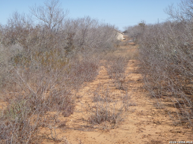 Image 8 of 19 For 4253 Fm 462 E