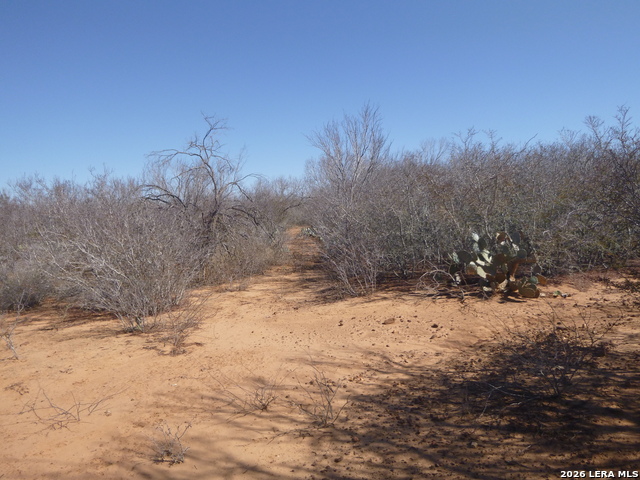 Image 9 of 19 For 4253 Fm 462 E