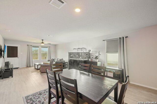 Image 9 of 38 For 463 Filibuster