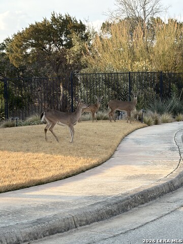 Image 40 of 44 For 222 Sigel  