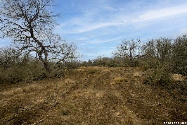 Listing photo id 9 for 2410 San Miguel Tract #1